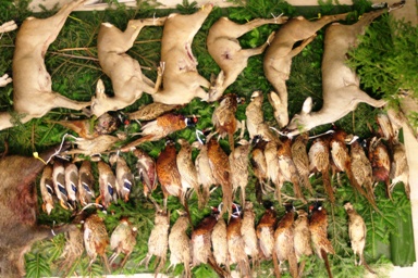 12. 11. 2010 - Hubertská zábava